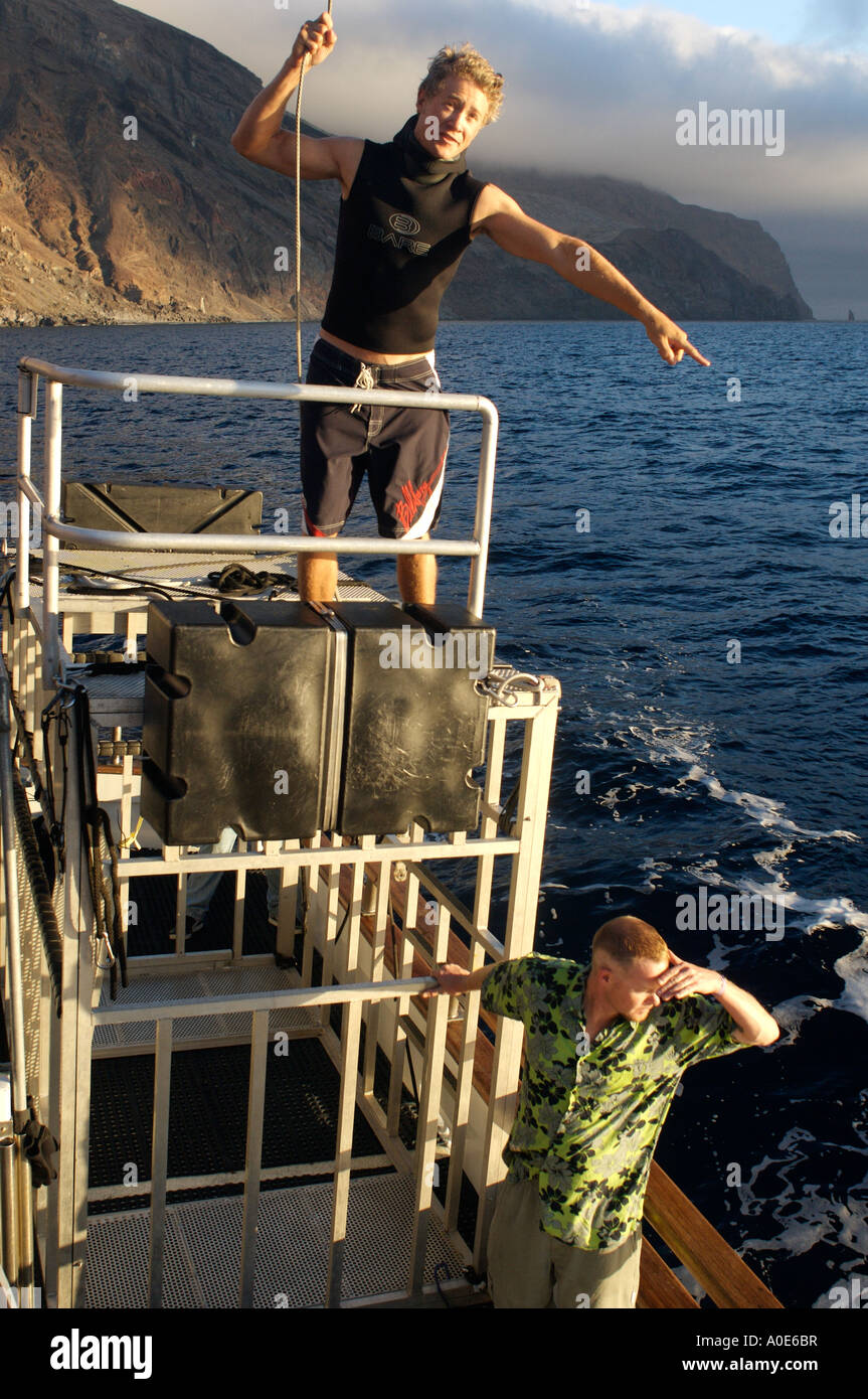 Isla Guadelupe Mexico Great White shark diving  Luke Tipple crewmember srands on top of metal shark cage Stock Photo