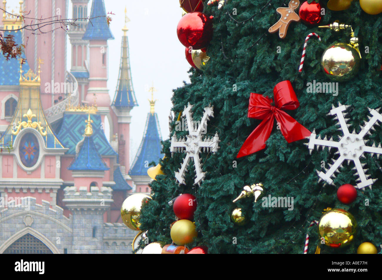 The giant Christmas Tree at Disneyland Paris (EuroDisney), with the majestic pink Sleeping Beauty Castle in the distance. Stock Photo