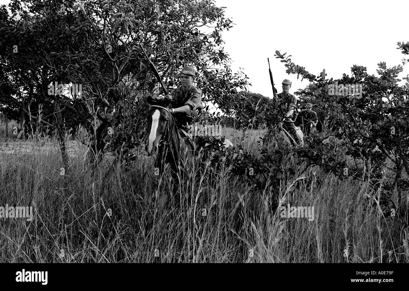 Rhodesian troops in the bush 1975 Stock Photo