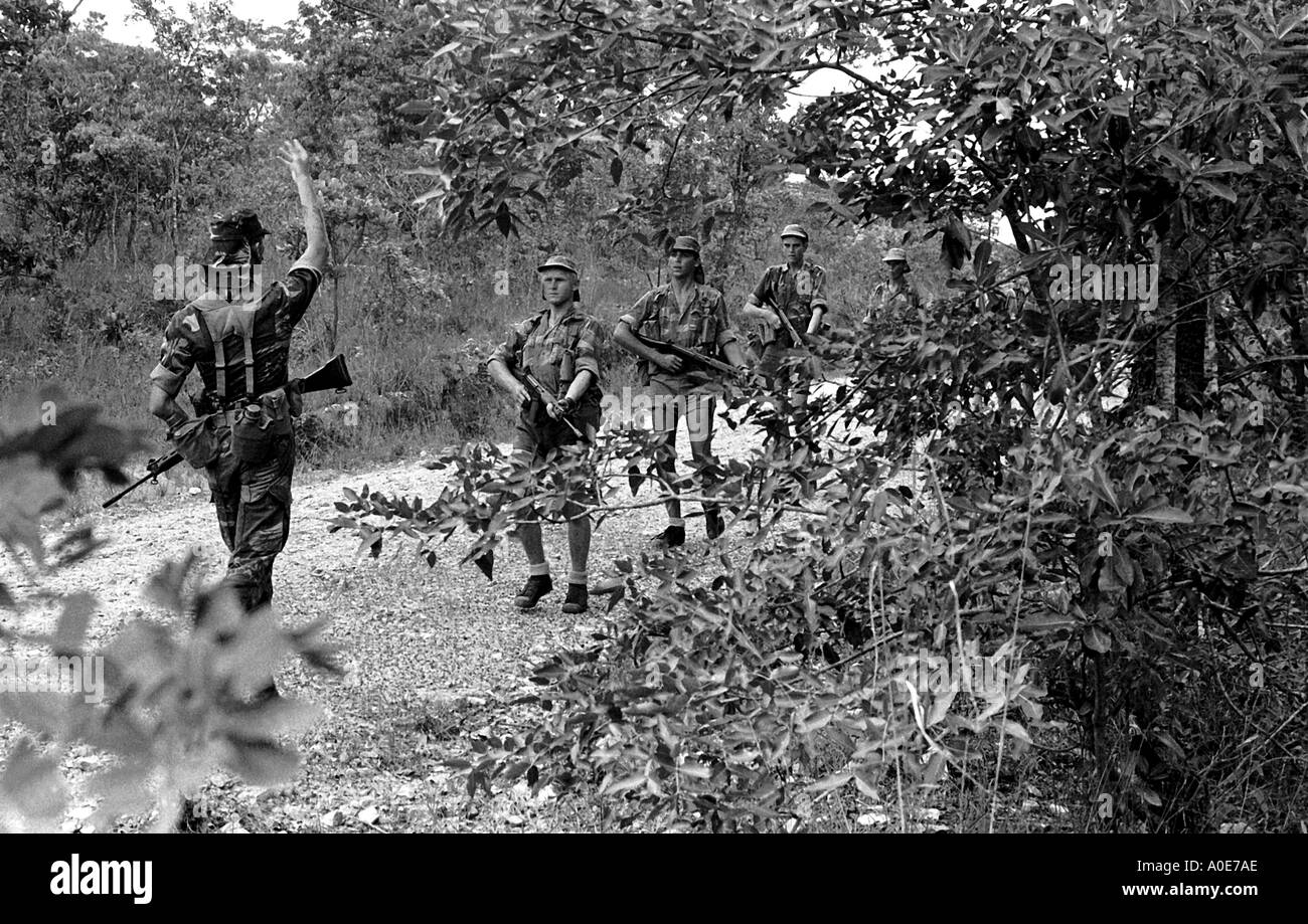 Rhodesian troops in the bush 1975. Stock Photo