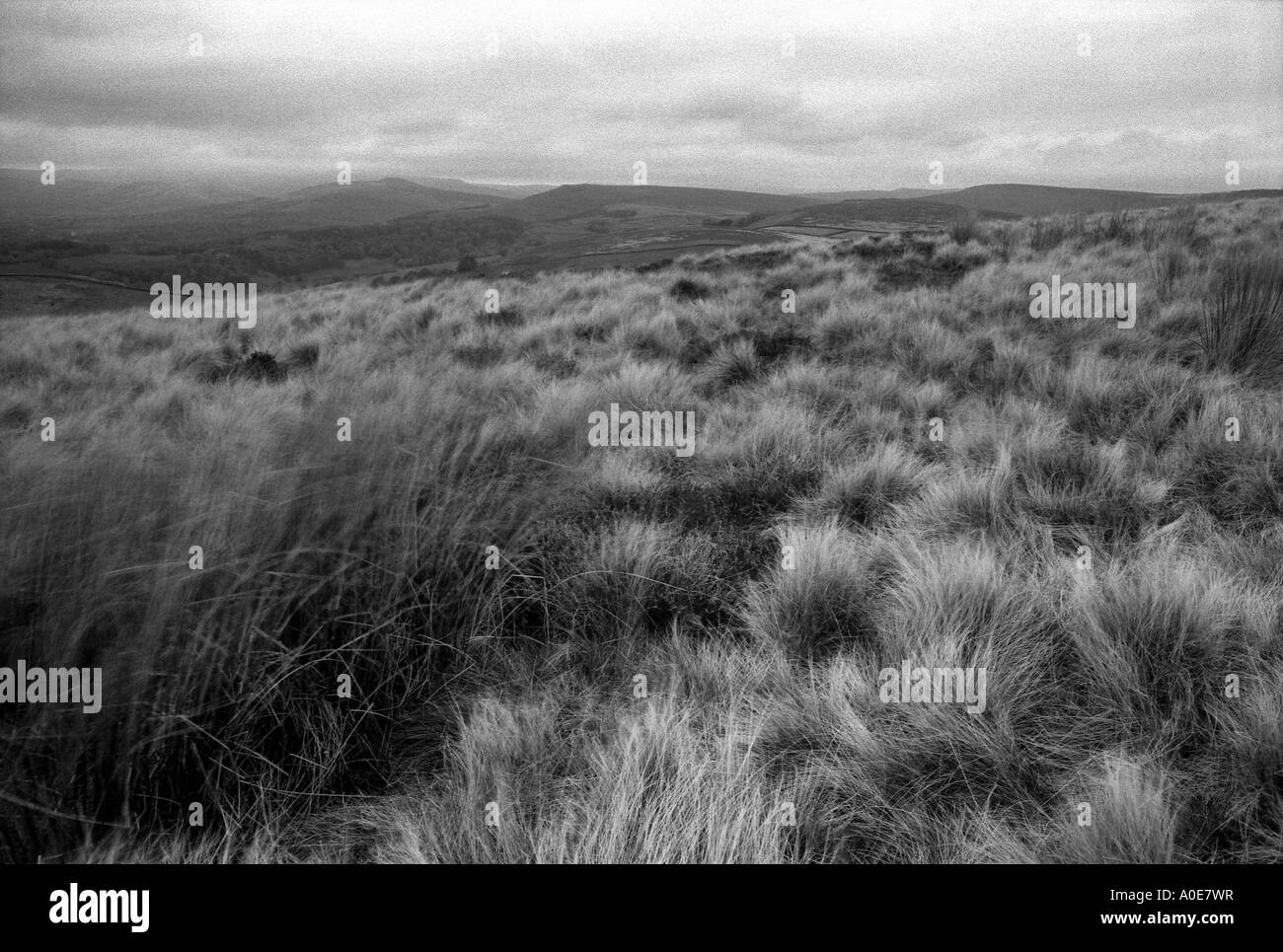 Derbyshire Moorland in Black and White Stock Photo