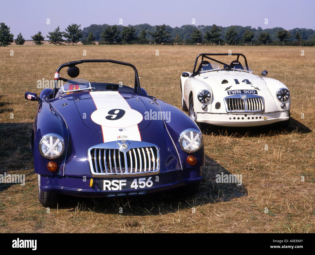 Pair of race prepared vintage MGB racing cars at Cadwell Park. Stock Photo