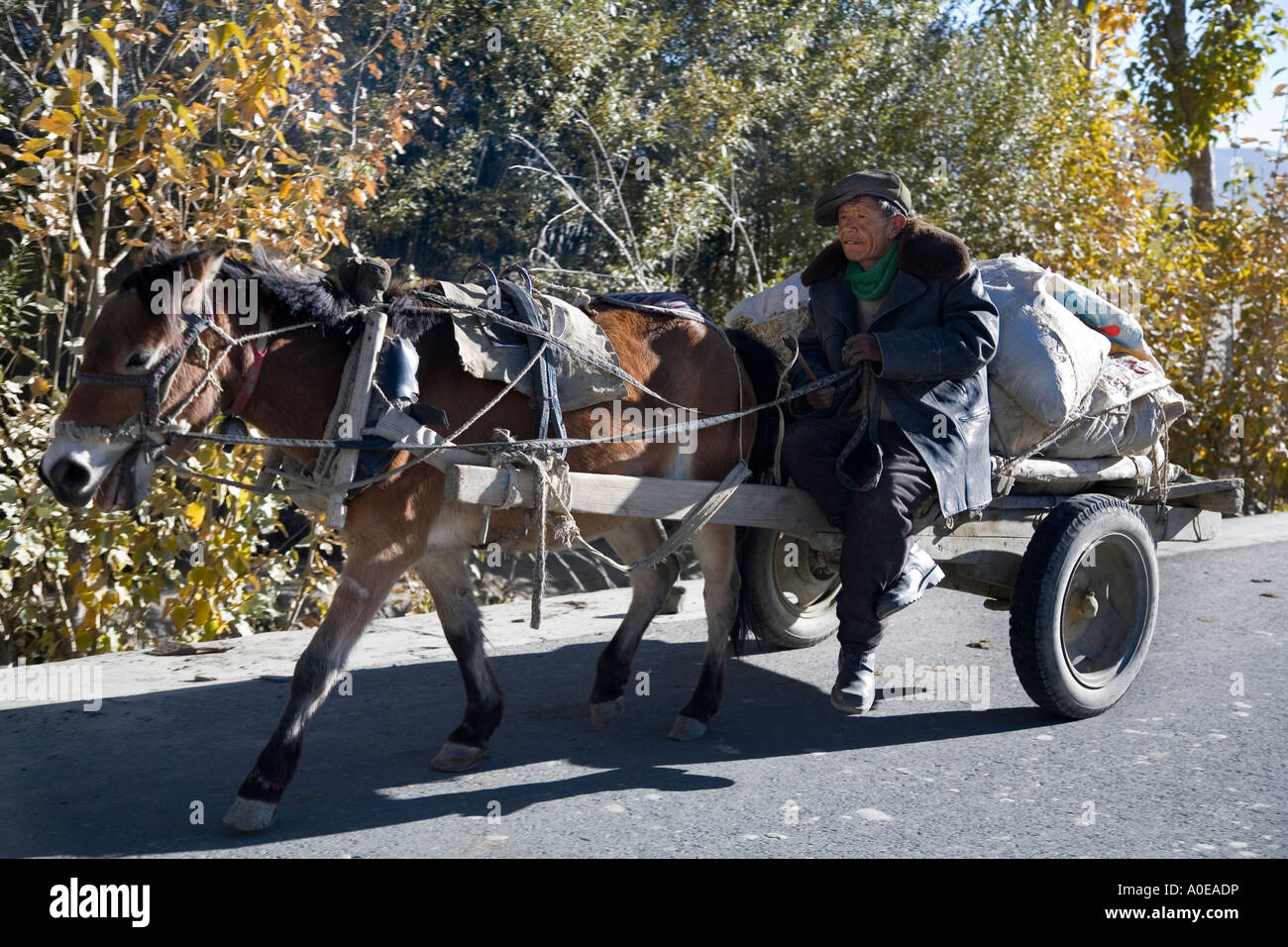 Man on donkey cart- road from Lhasa to Gyangtse Tibet Stock Photo