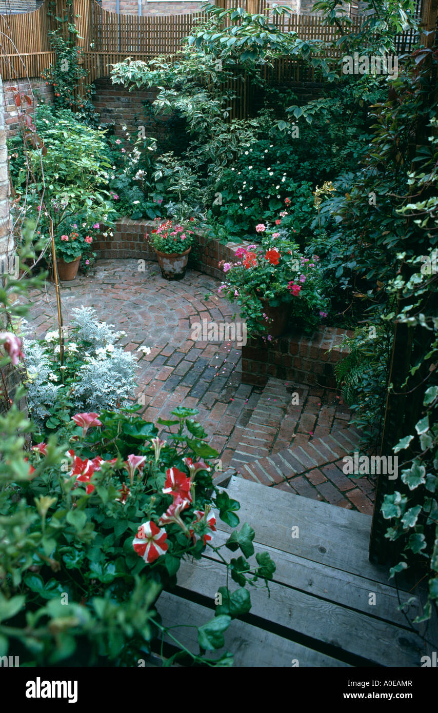 Flowering plants in pots around circular paving in basement garden in