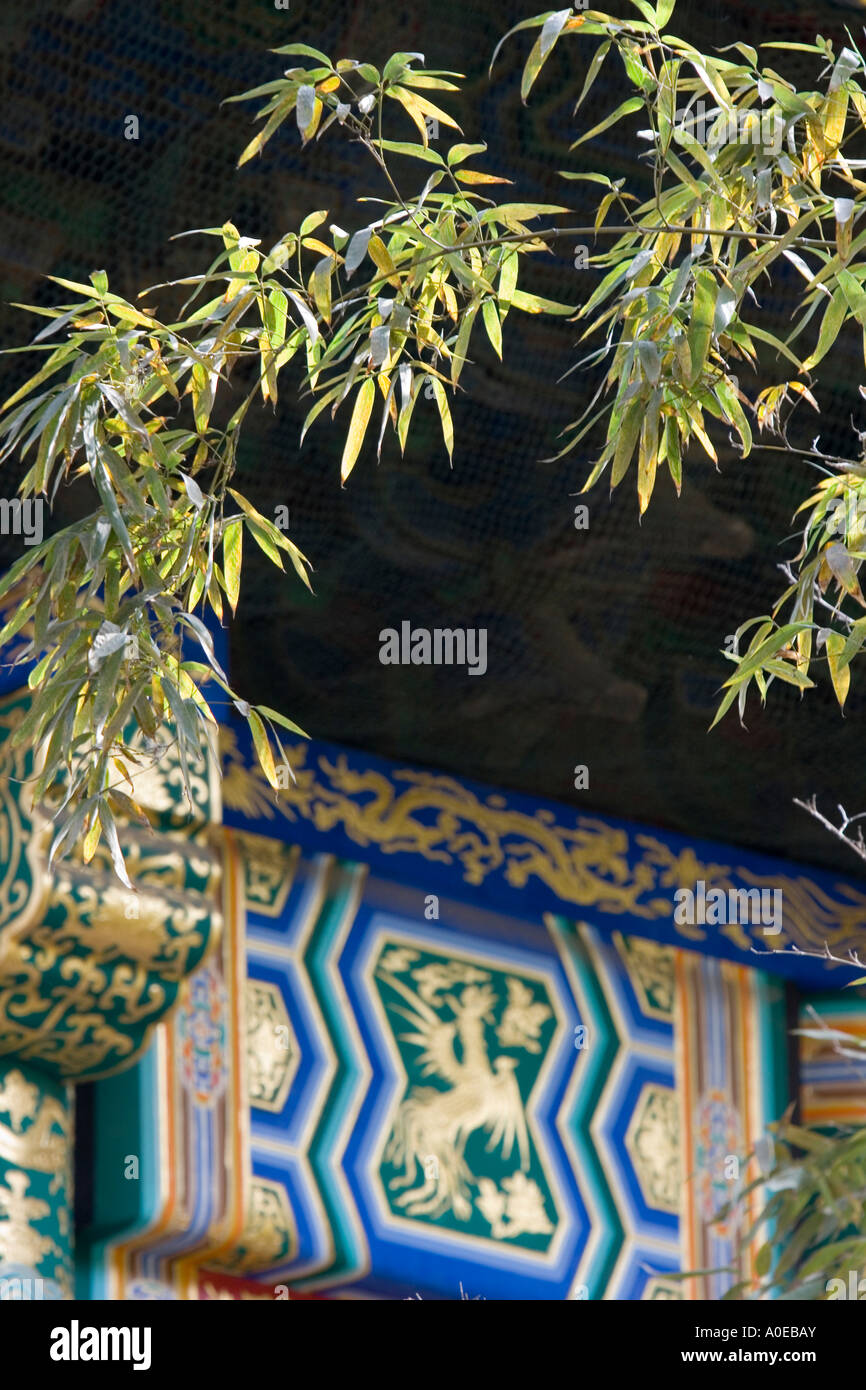 Imperial gardens- Forbidden City Beijing Stock Photo