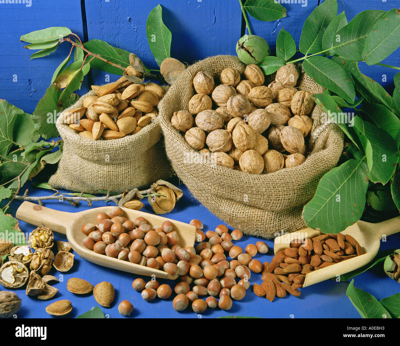 Assorted nuts Stock Photo