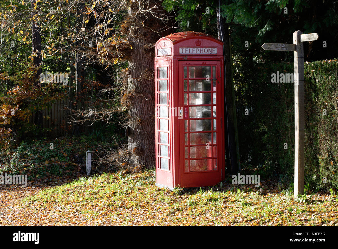 Red telephone box Sussex England UK Stock Photo