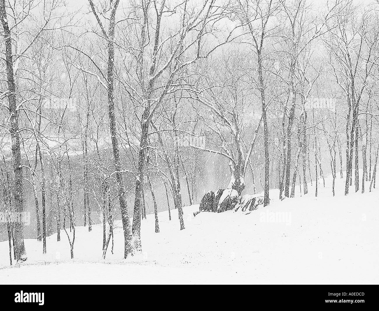 Snowfall and rivers Black and White Stock Photos & Images - Alamy