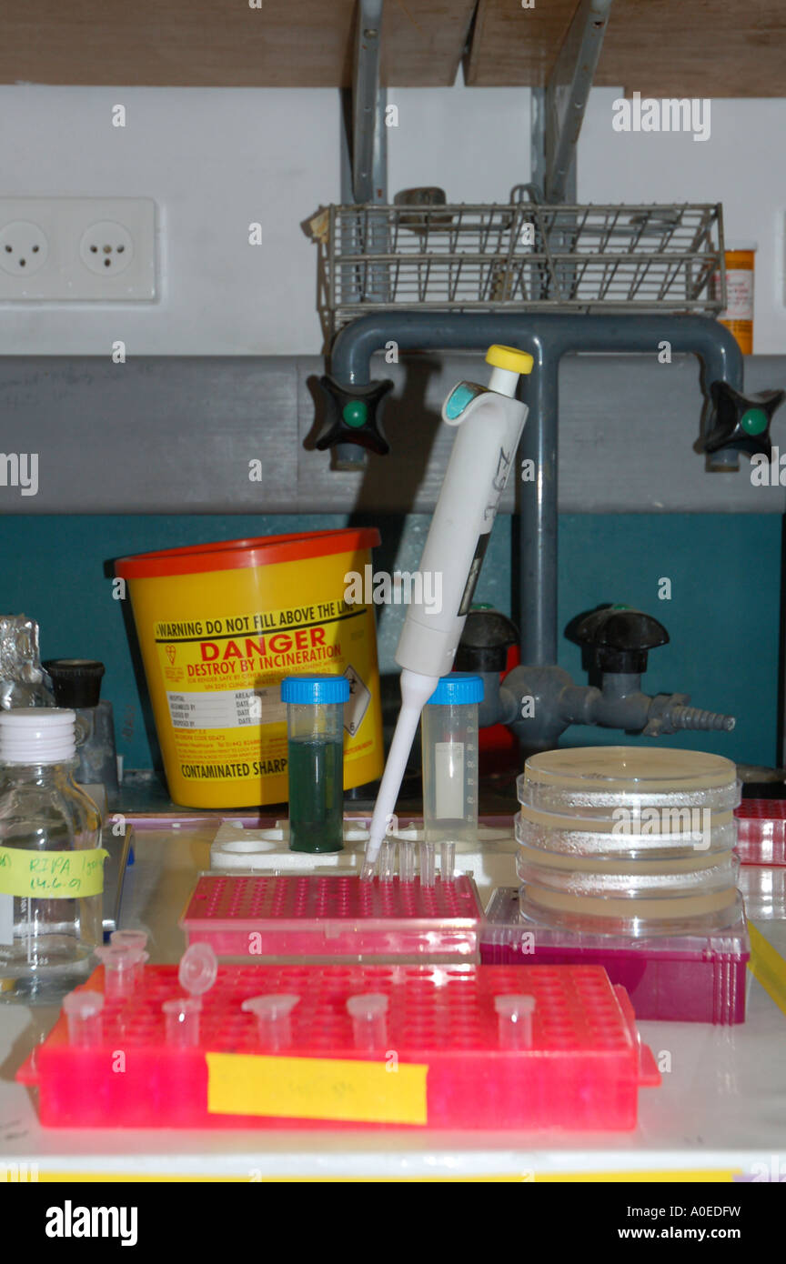 Biological lab tools and equipment a work station in a bio laboratory Stock Photo