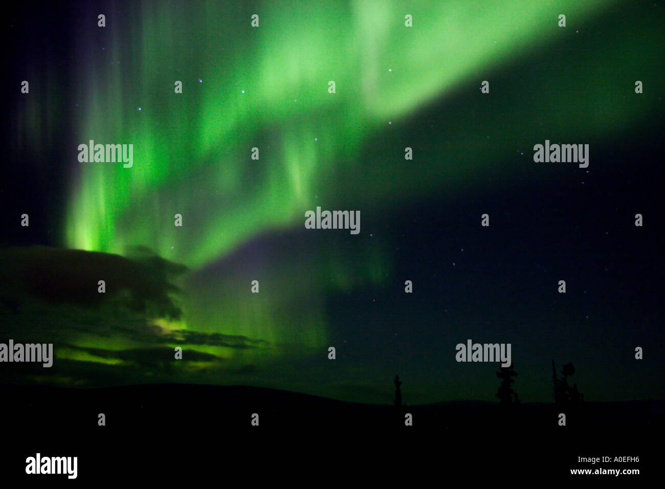 Picture Idea: Vibrating Aurora Arc With Big Dipper And Clouds Near Horizon