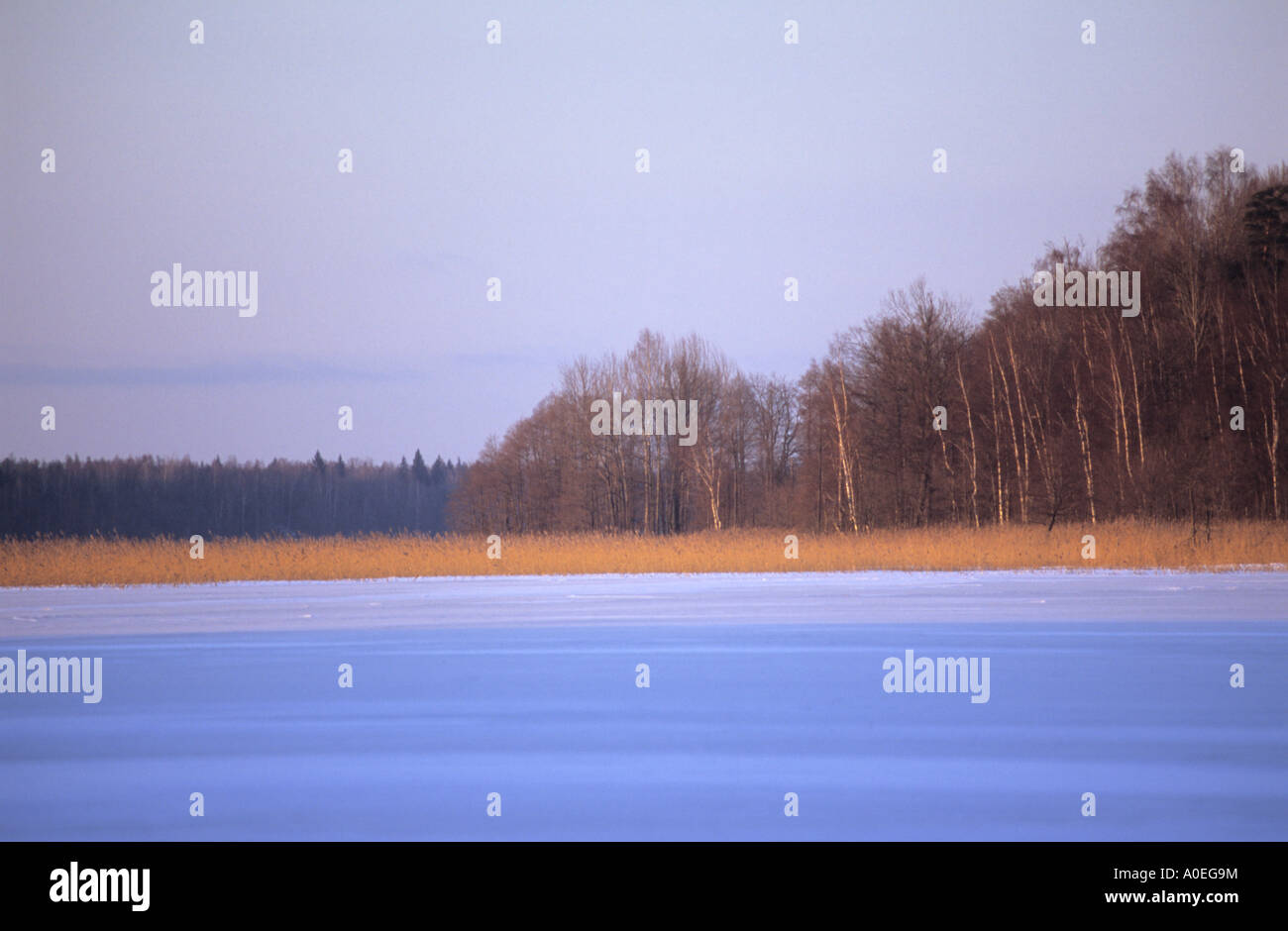 Wintery landscape Stock Photo