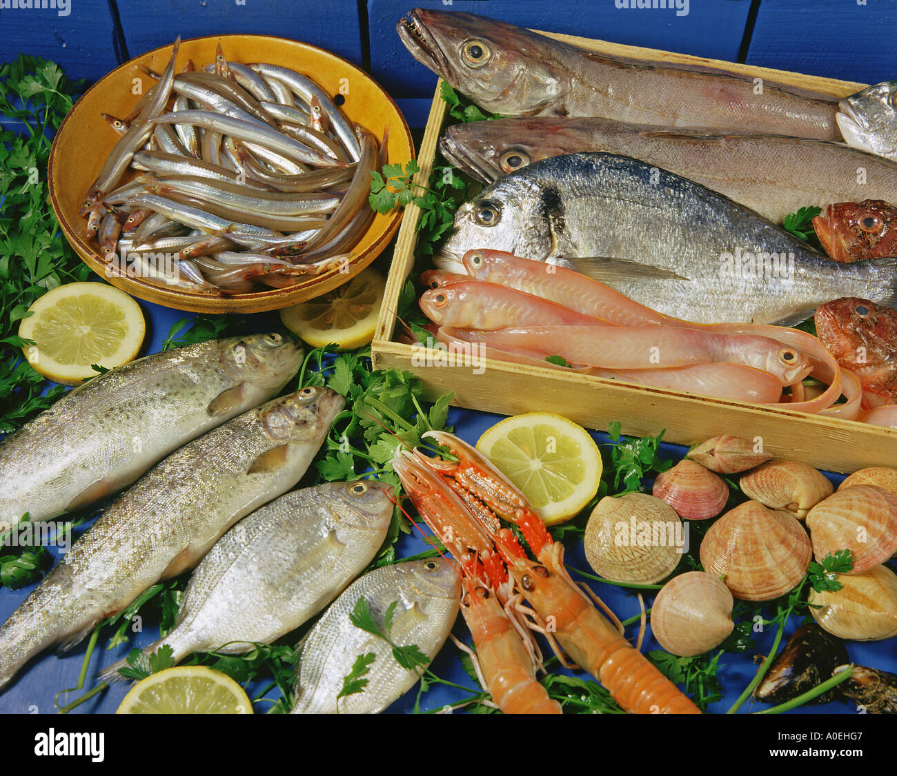 Assorted seafood Stock Photo