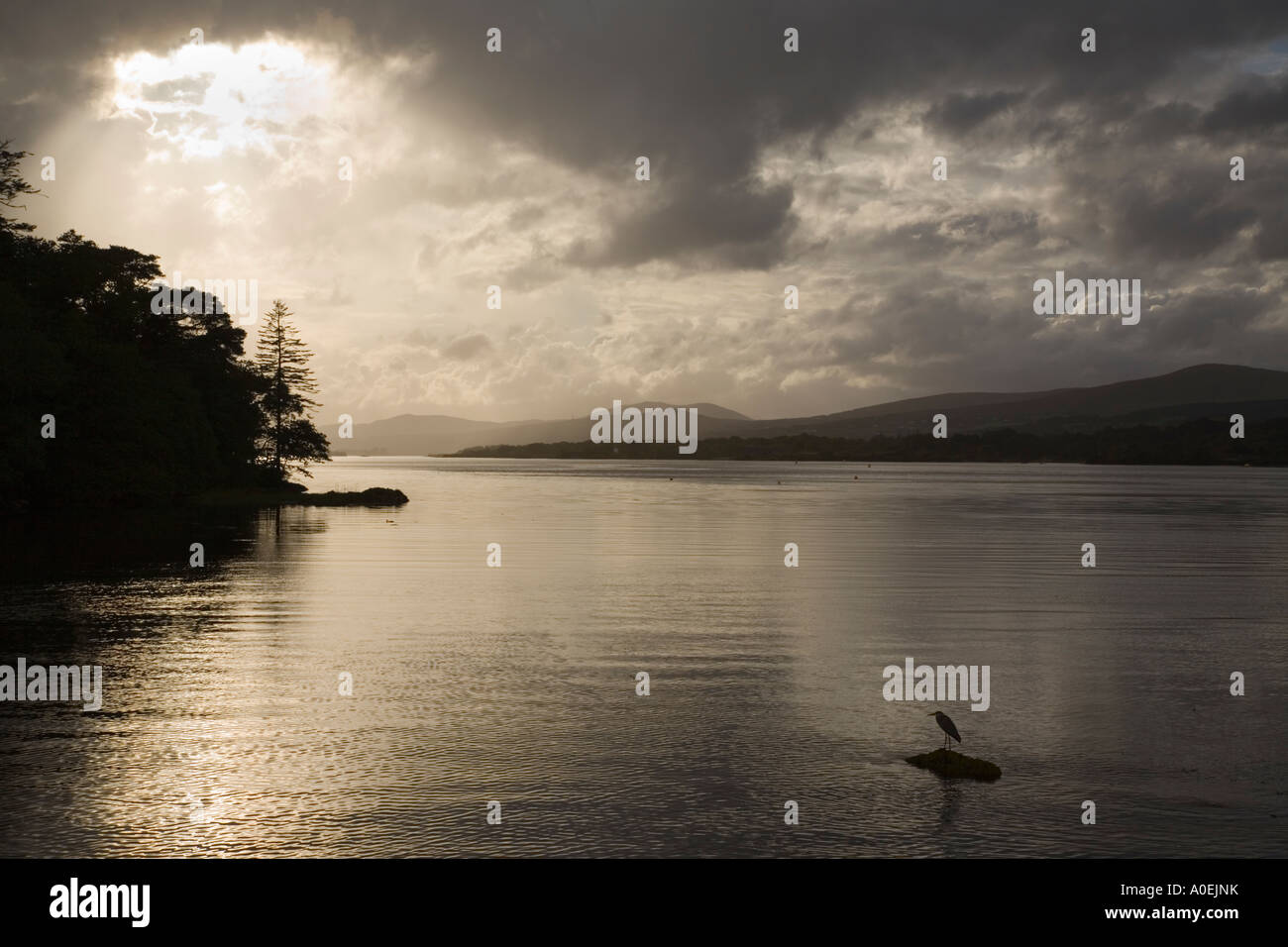 Contre jour view down Kenmare River in evening light Kenmare Co Kerry Eire Stock Photo