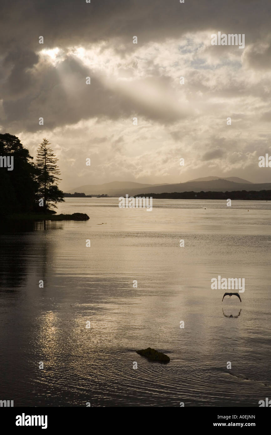 Contre jour view down Kenmare River in evening light Kenmare Co Kerry Eire Stock Photo