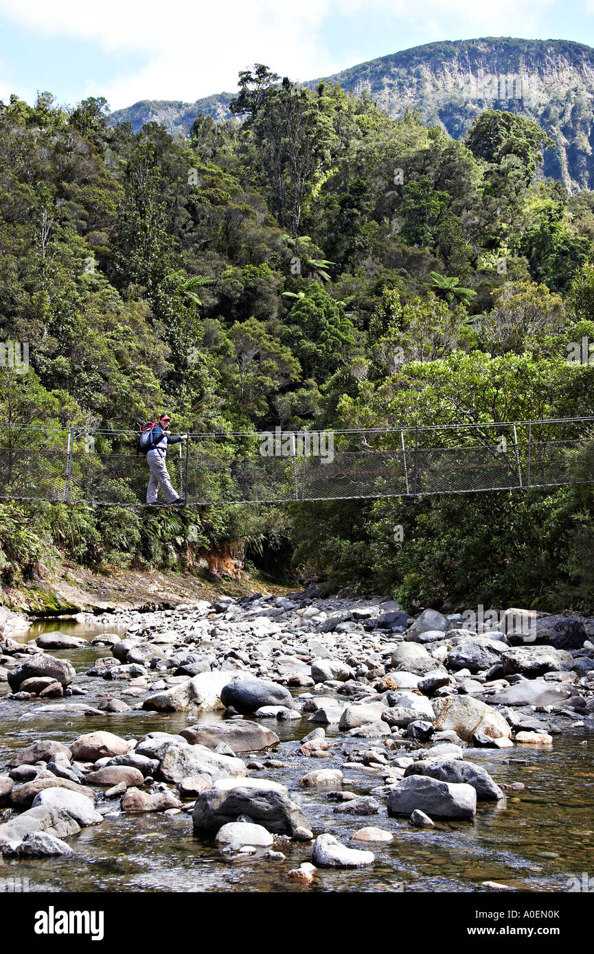 New zealand kauaeranga valley hires stock photography and images Alamy