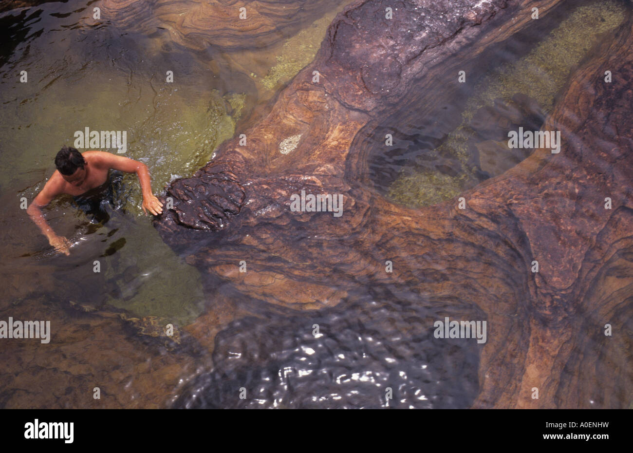 Rock Pools Roraima Venezuela Stock Photo