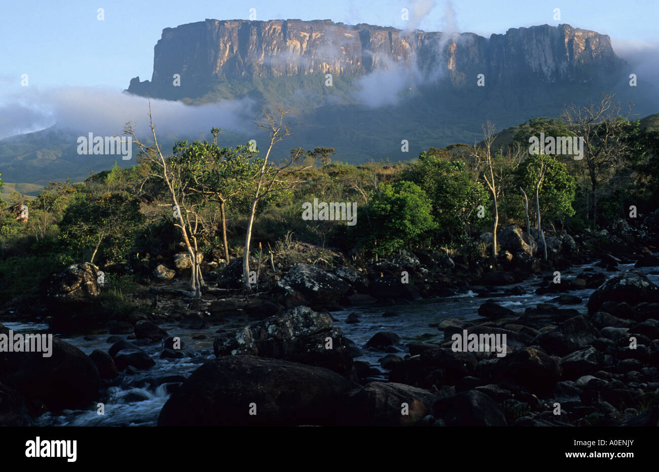 Kukenan Tepui from Rio Kukenan Venezuela Stock Photo