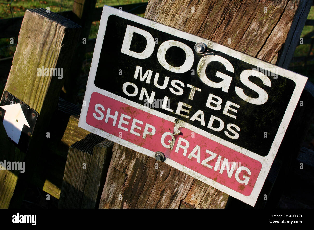 Dogs on a Lead Sign Stock Photo Alamy