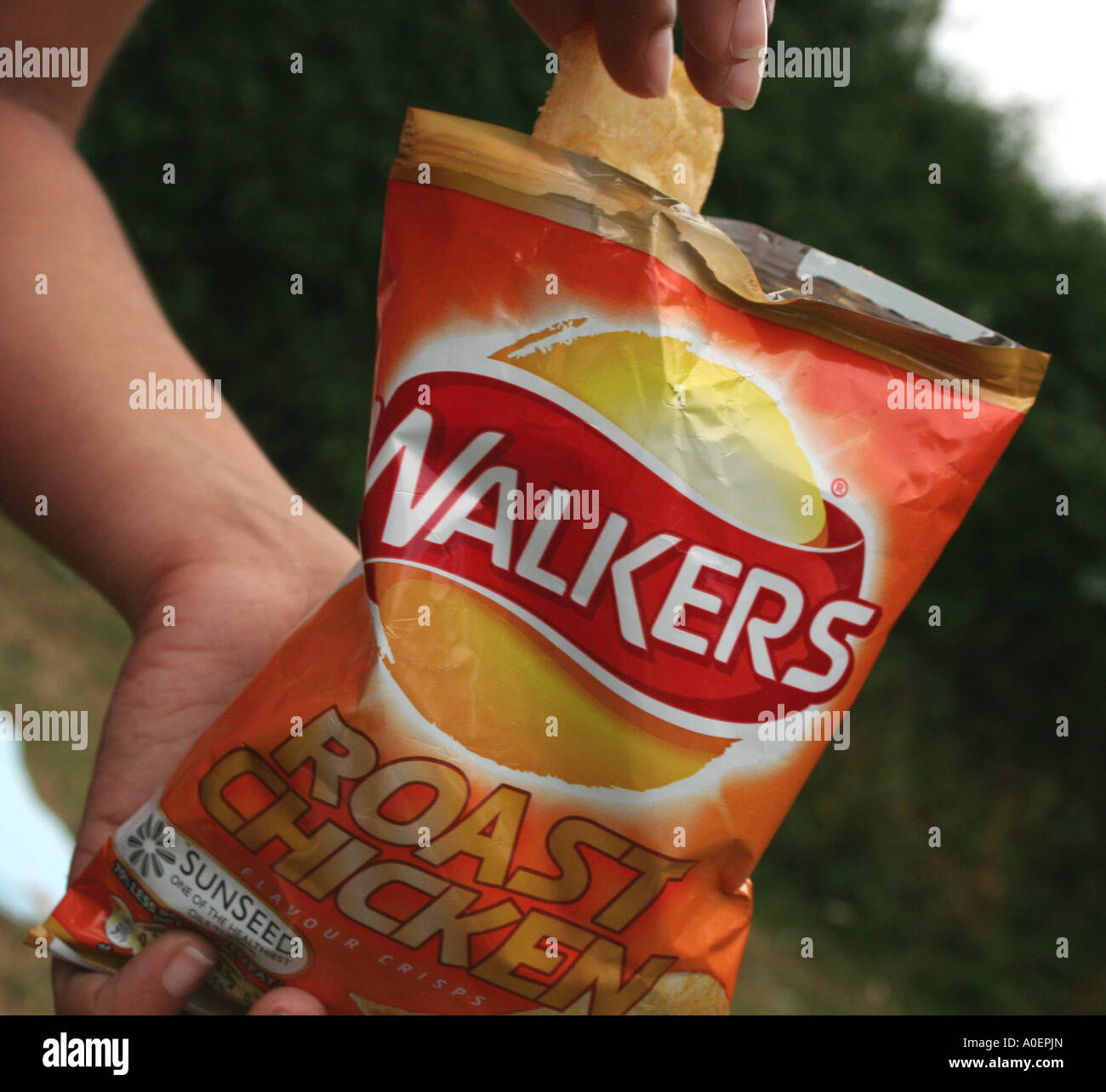 Packet of Walkers Crisps Stock Photo Alamy