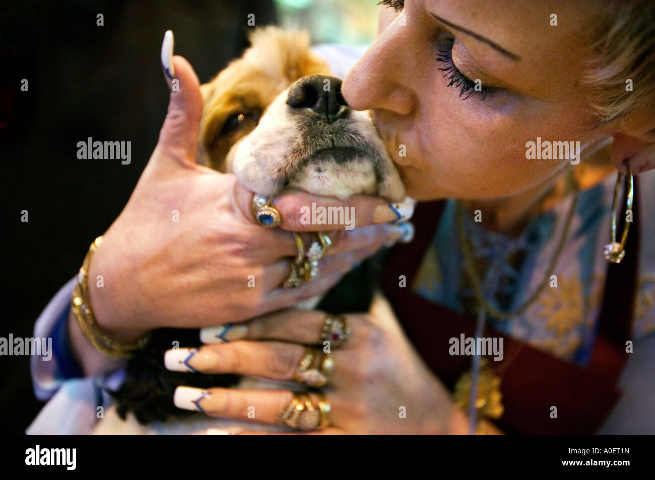 A woman kisses her King Charles spaniel at the Crufts dog show at the National Exhibition Centre in Birmingham UK Stock Photo