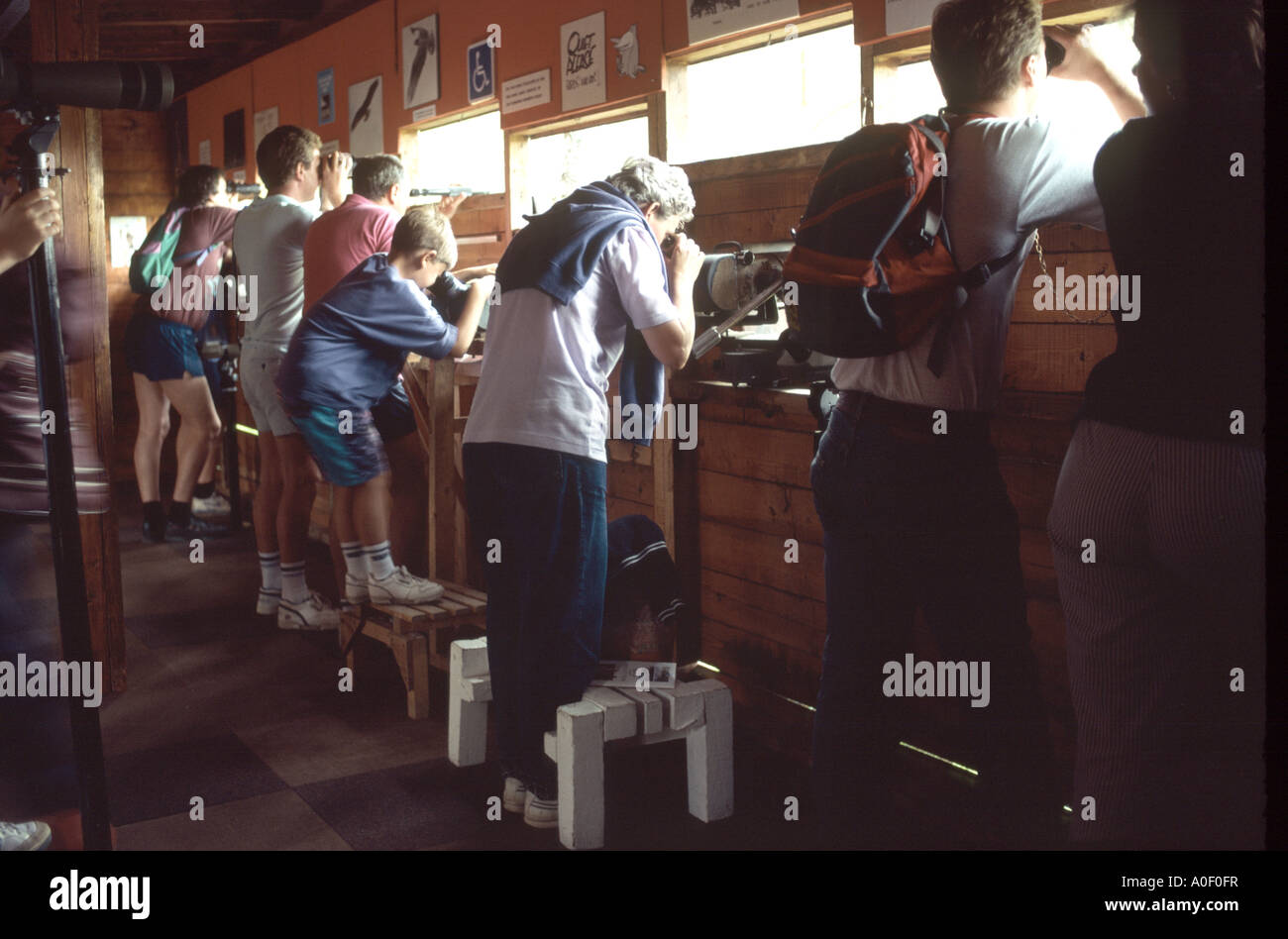 Bird watchers observing birds in a hide Stock Photo