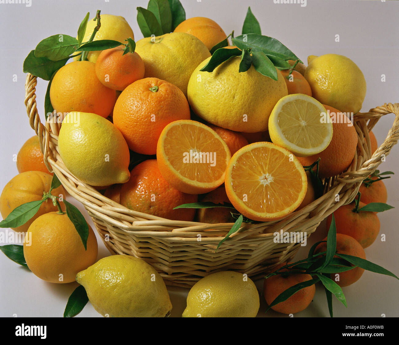 Assorted citrus fruits Stock Photo