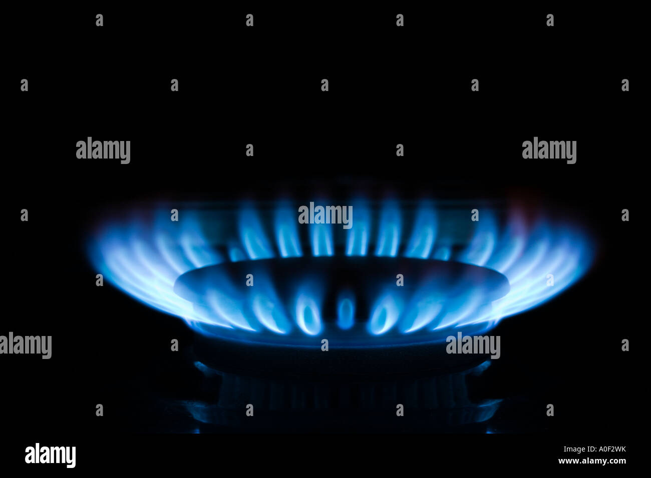 Domestic Gas Range Flame Stock Photo Alamy