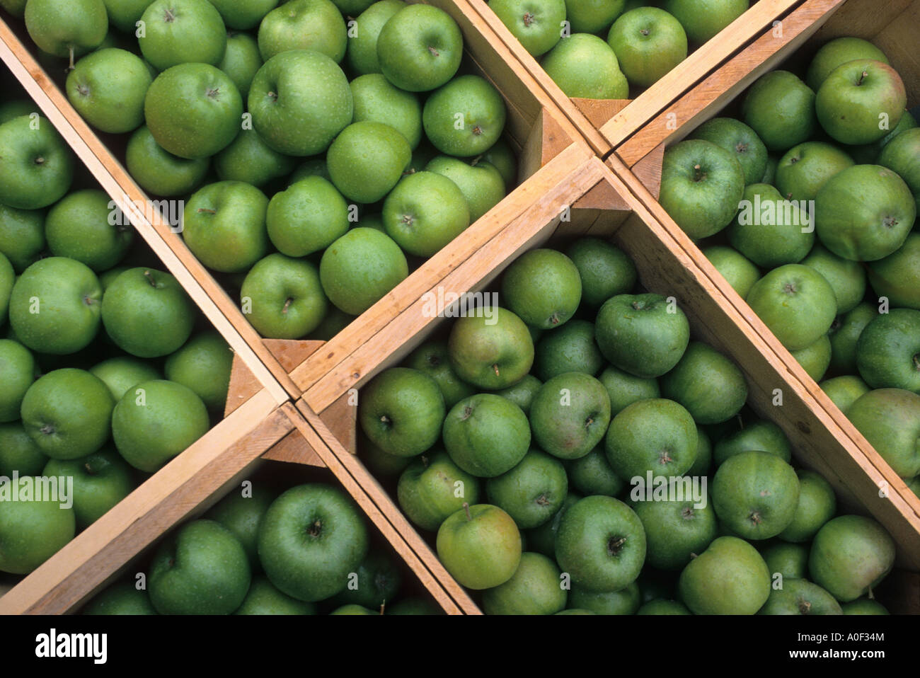 Apples in boxes Stock Photo Alamy