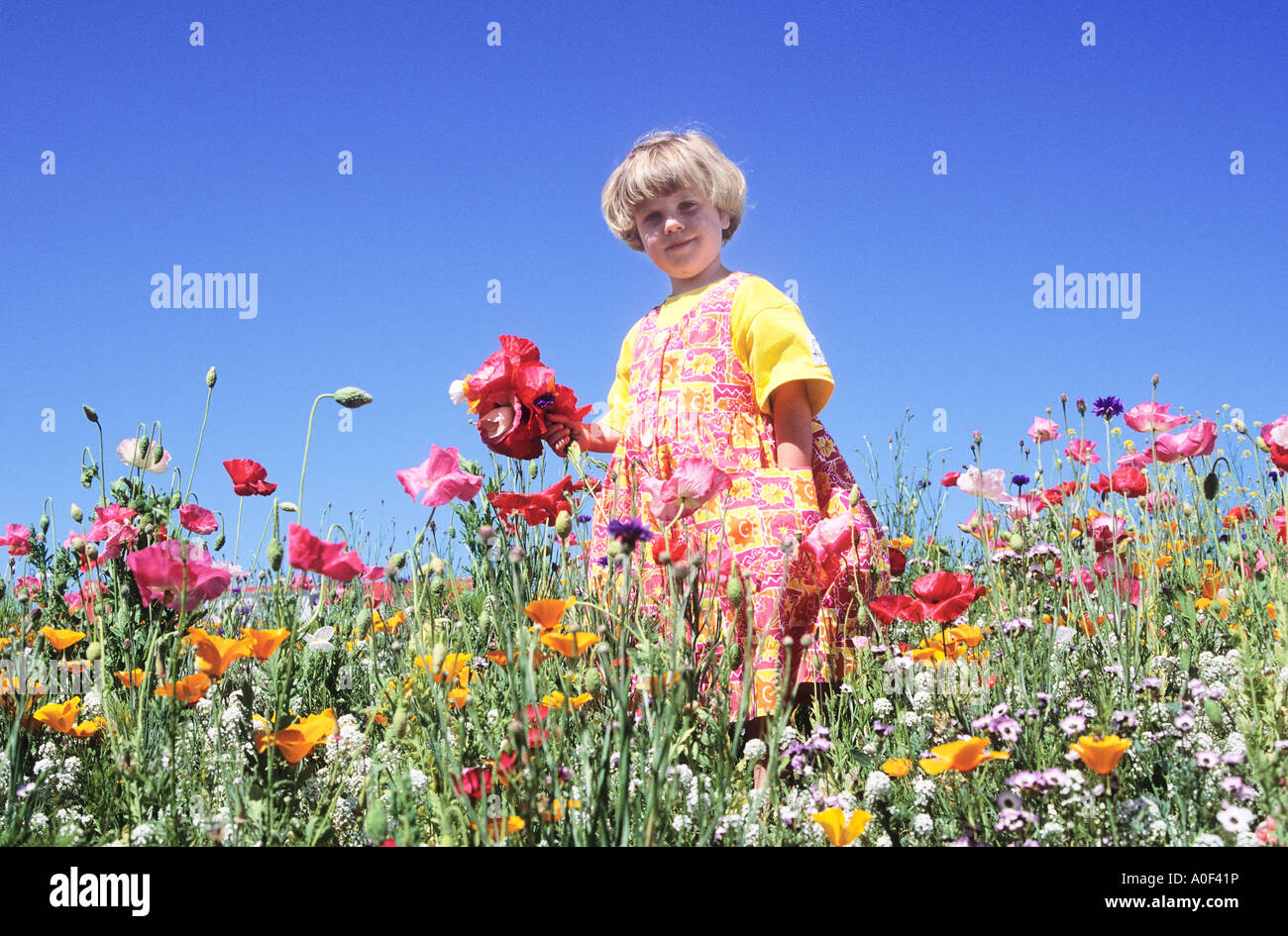Young girl in field of flowers Stock Photo - Alamy
