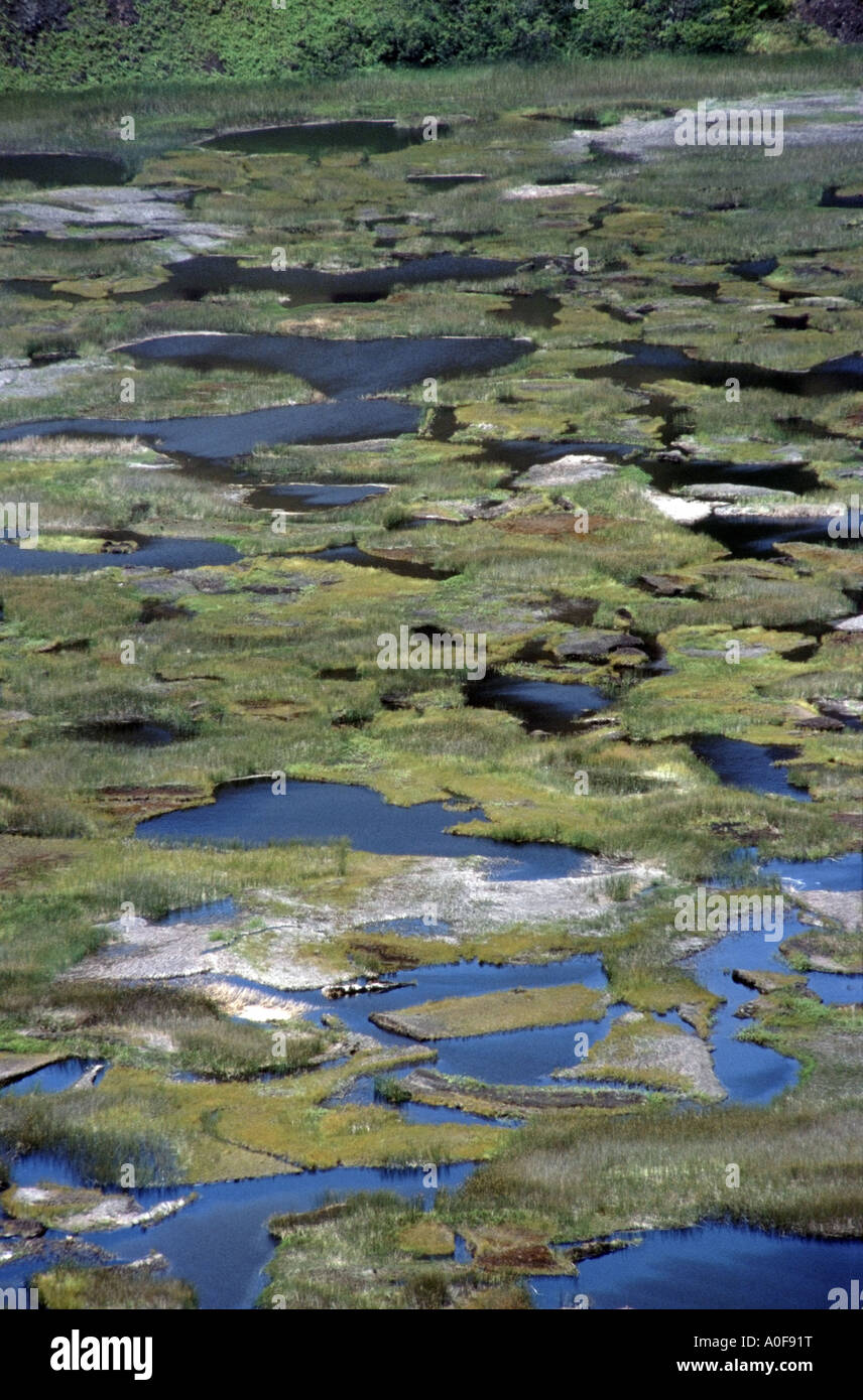 Floating totora reeds on the Rano Kau volcanic crater on Easter Island  Chile South Pacific Stock Photo - Alamy