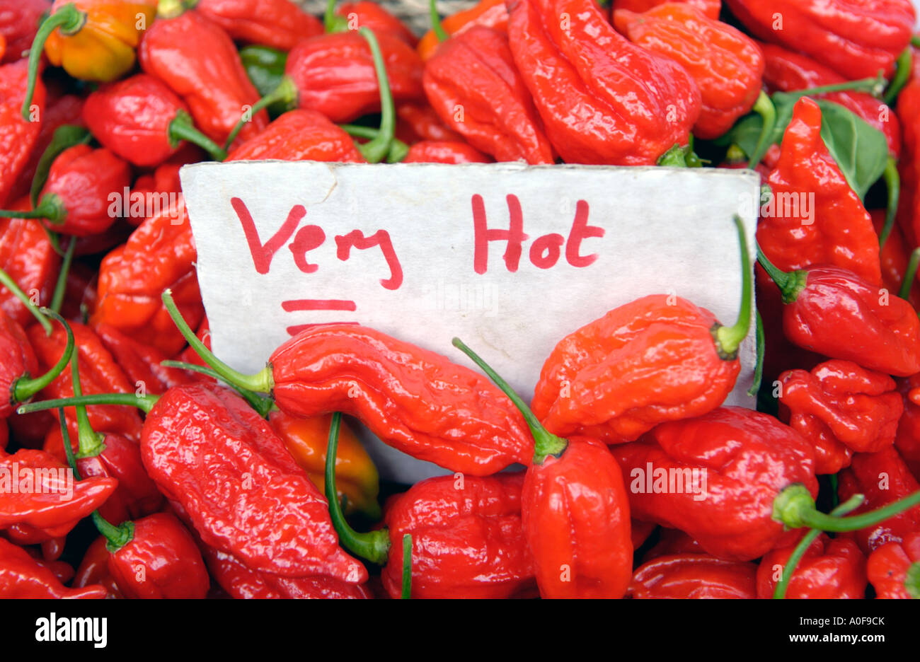 The worlds hottest chilli the DORSET NAGA for sale on a stall at the