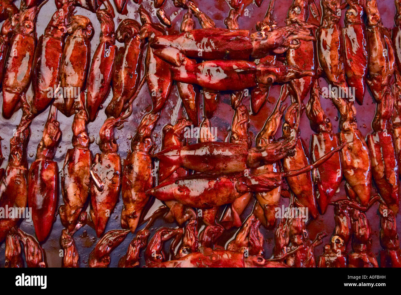 Squid in marinade at Tomohon market, Sulawesi  (Celebes), Indonesia, Asia Stock Photo