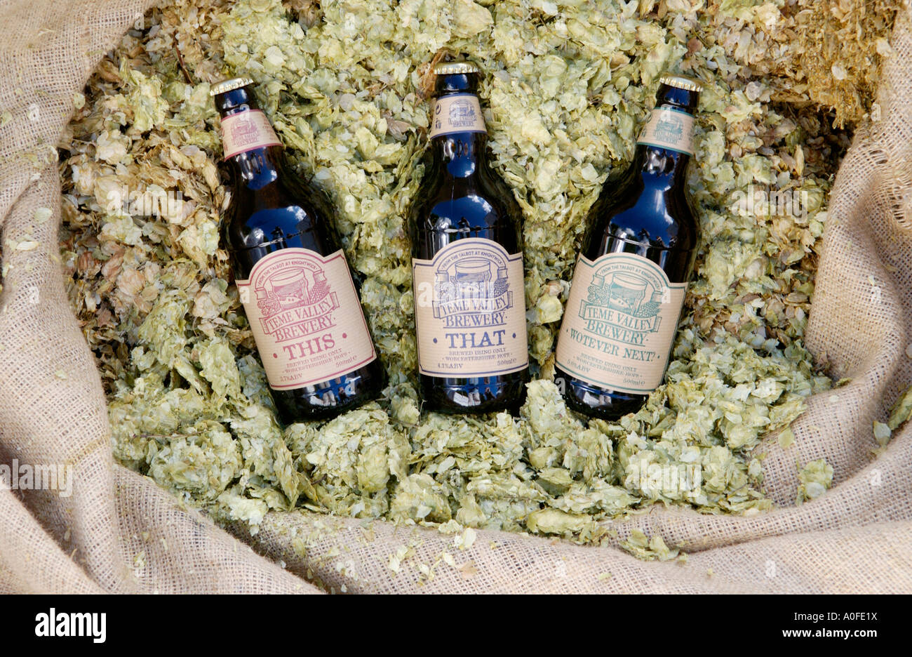 THIS THAT & WOTEVER NEXT beer on sack of hops made in Teme Valley Brewery behind The Talbot at Knightwick Worcestershire England Stock Photo
