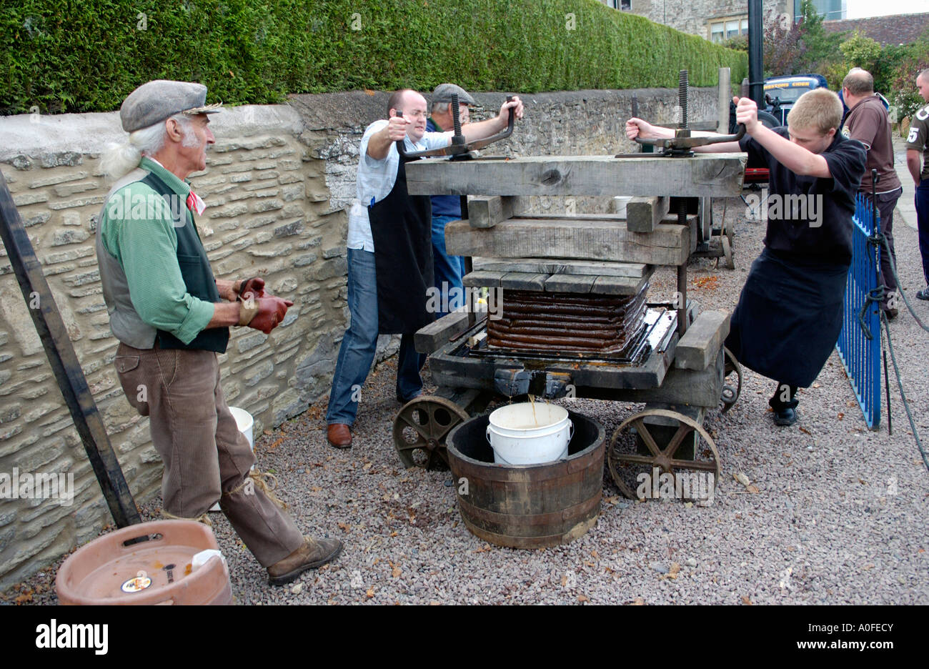 Traditional portable cider press being used at Westons Cider on Big