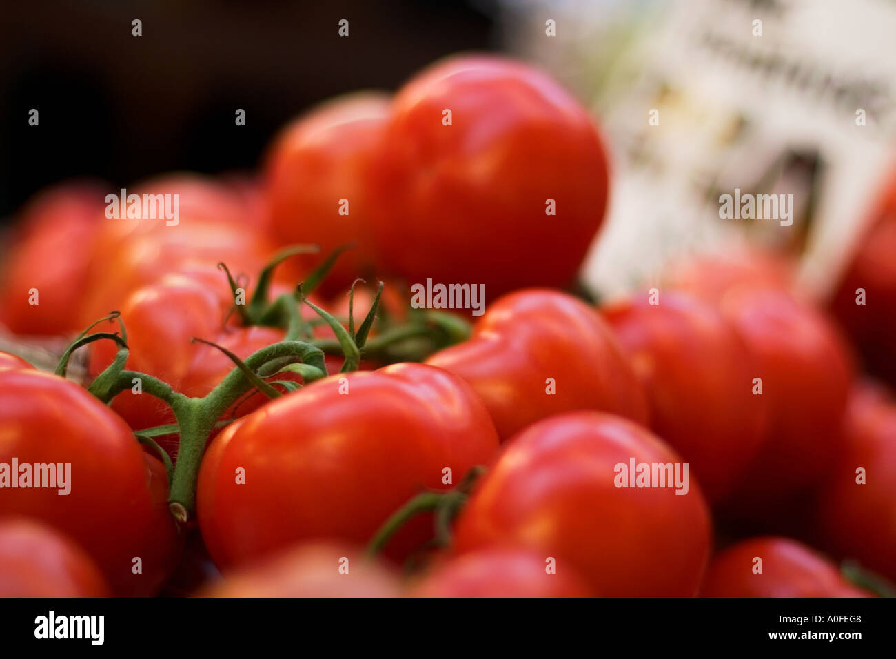 Bunches of vine ripened tomatoes on a market stall in London Borough ...