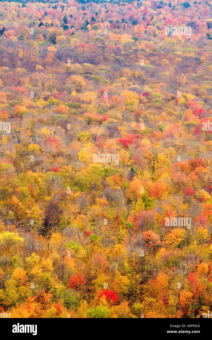 lake groton from owl s head mountain in the white mountains Stock Photo Alamy
