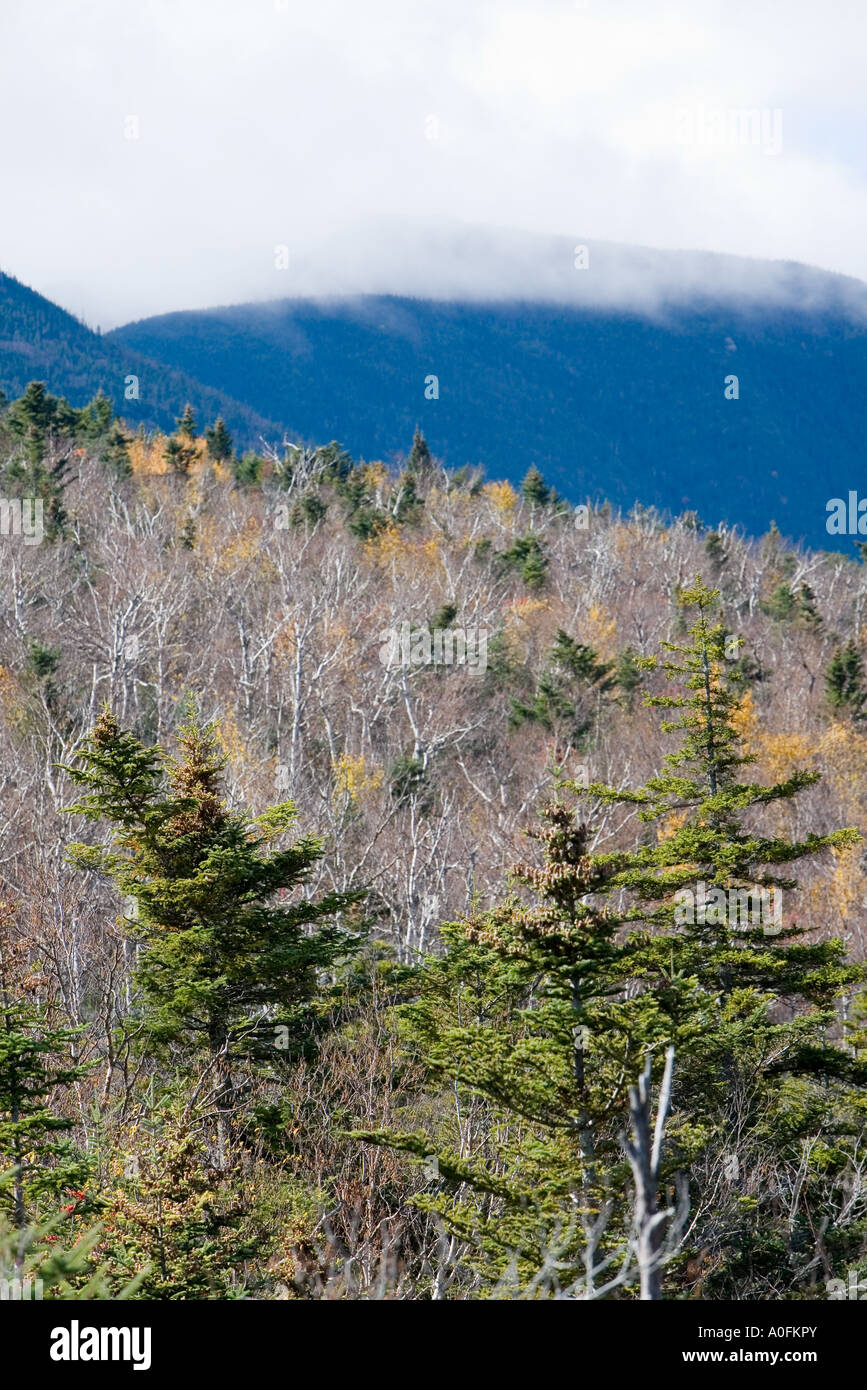White mountains national forest hi-res stock photography and images - Alamy