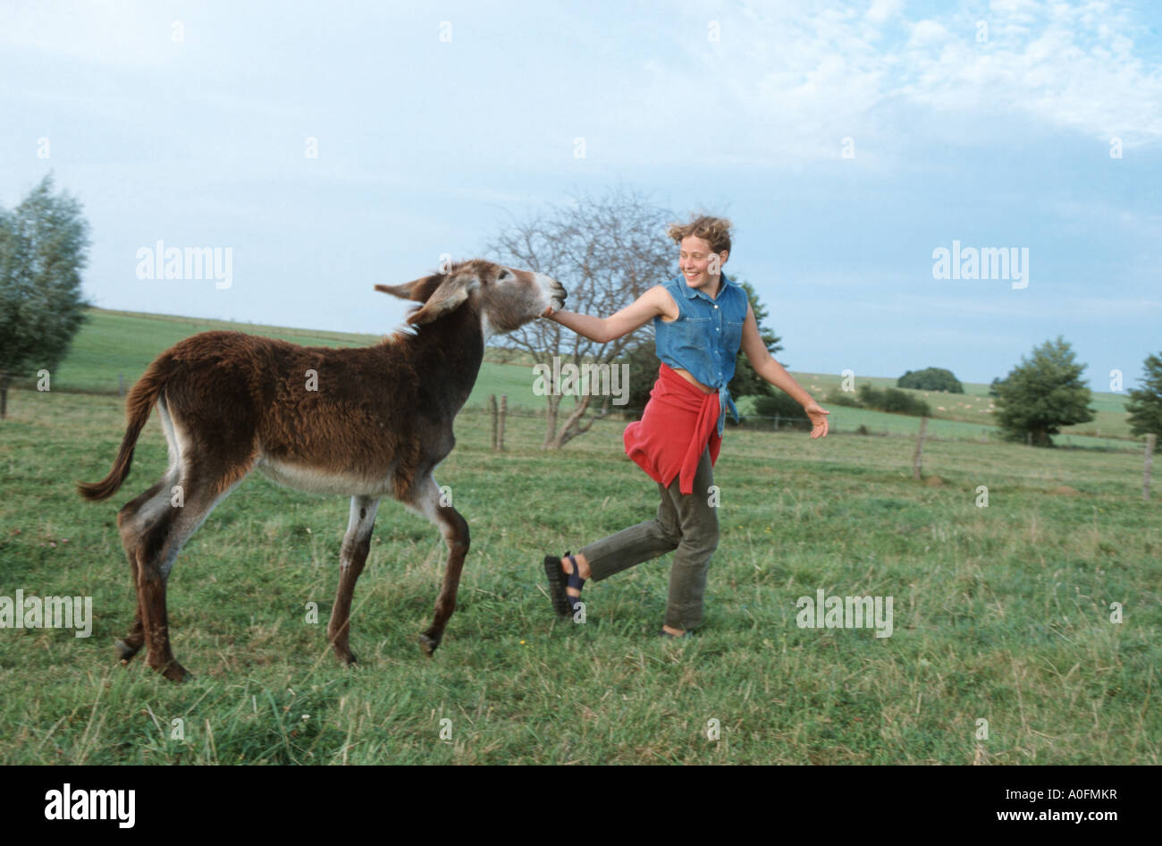Poitou donkey (Equus asinus asinus), foal with girl running over meadow, France, Alsace Stock Photo