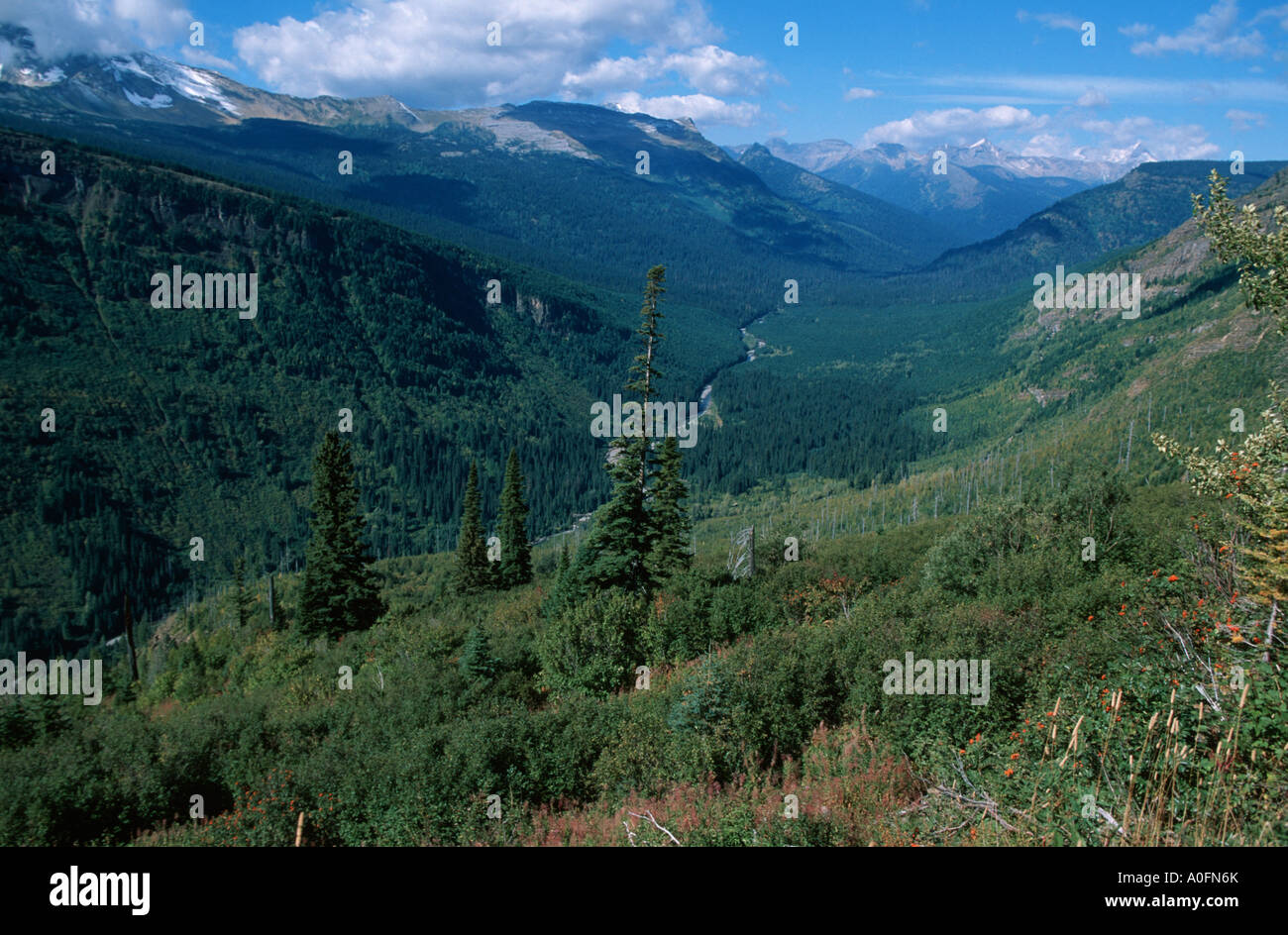 landscape Rocky Mountains, Canada, Alberta, Jasper NP Stock Photo