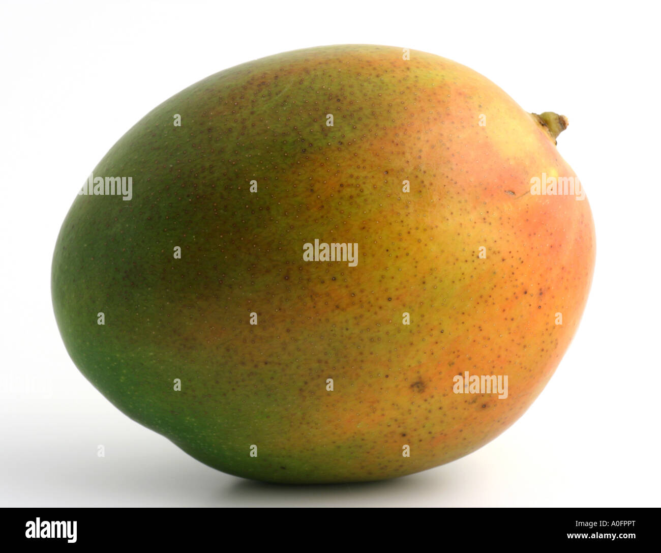Mango. Stock Photo