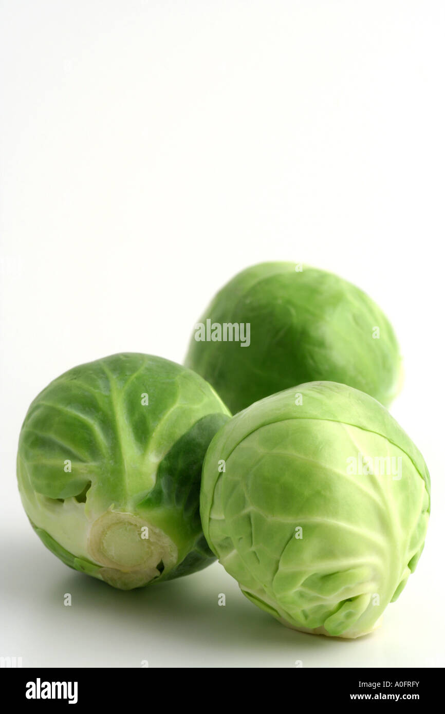 Three Brussels sprouts (brassica oleracea Stock Photo - Alamy