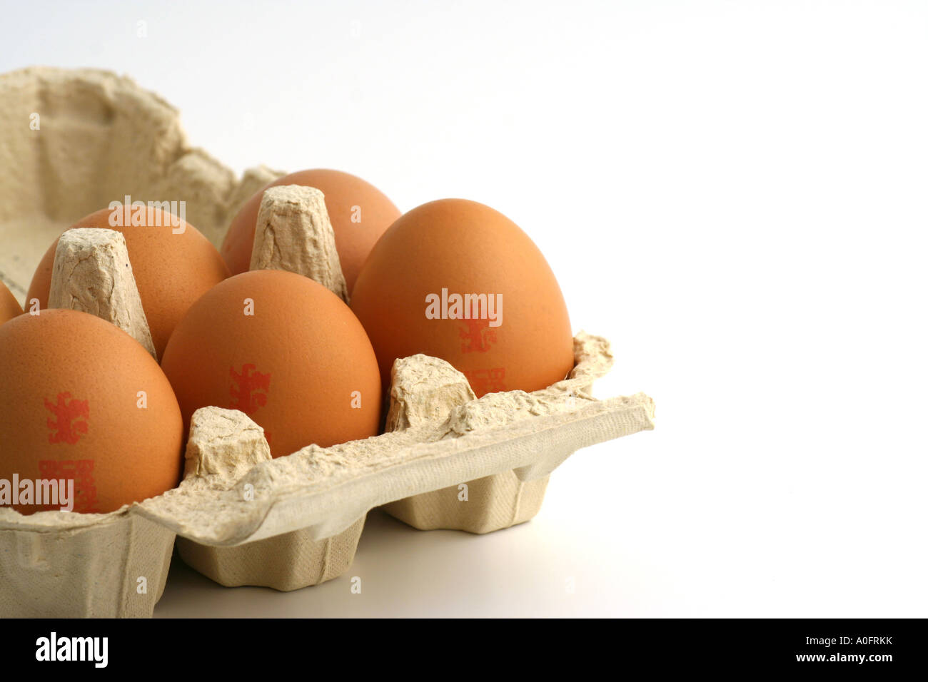 Eggshell pores hires stock photography and images Alamy