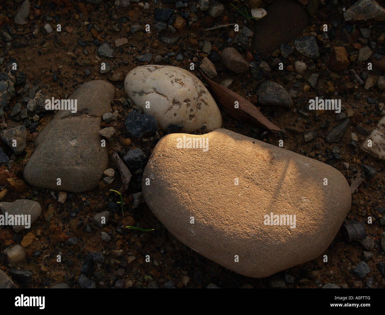 Earth between stones hi-res stock photography and images - Alamy