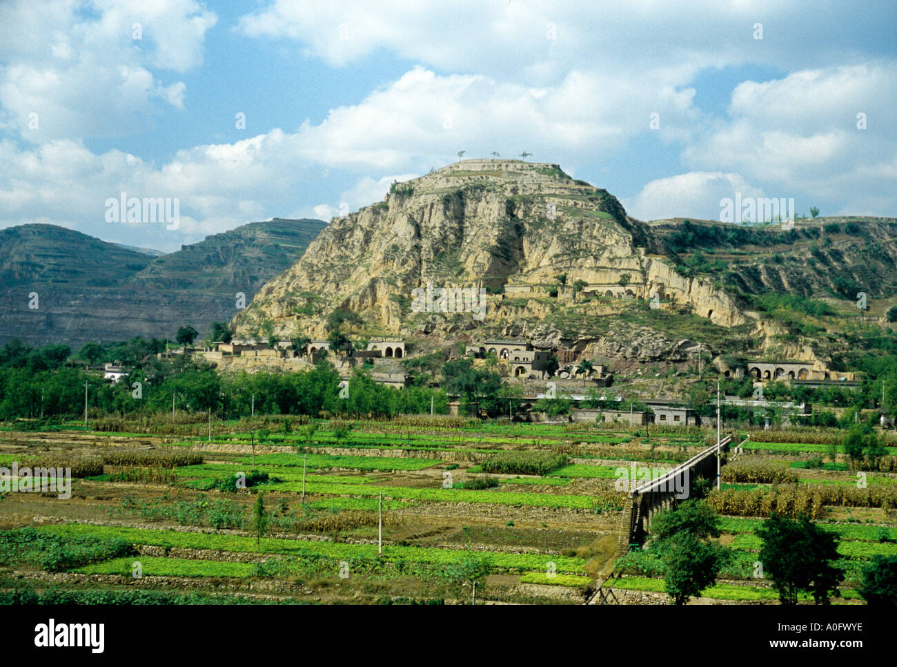 Shanxi, China Loess hills with cave houses and irrigated agricultural