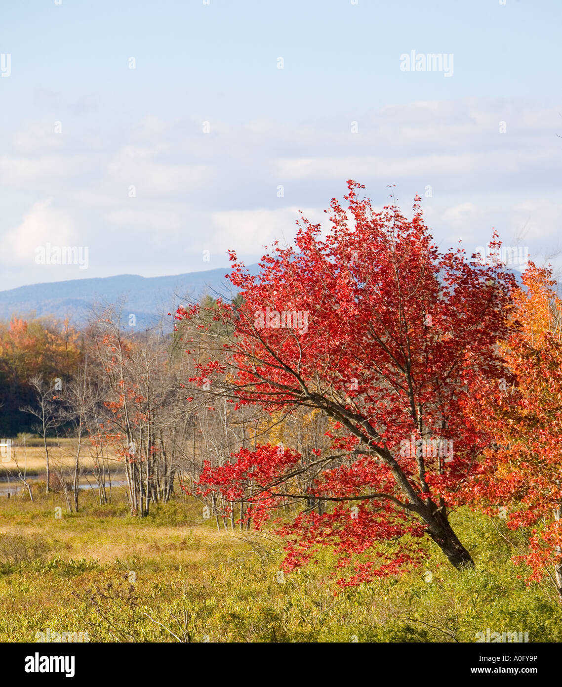 beautiful misty morning in speculator town village on lake pleasant new york Stock Photo Alamy