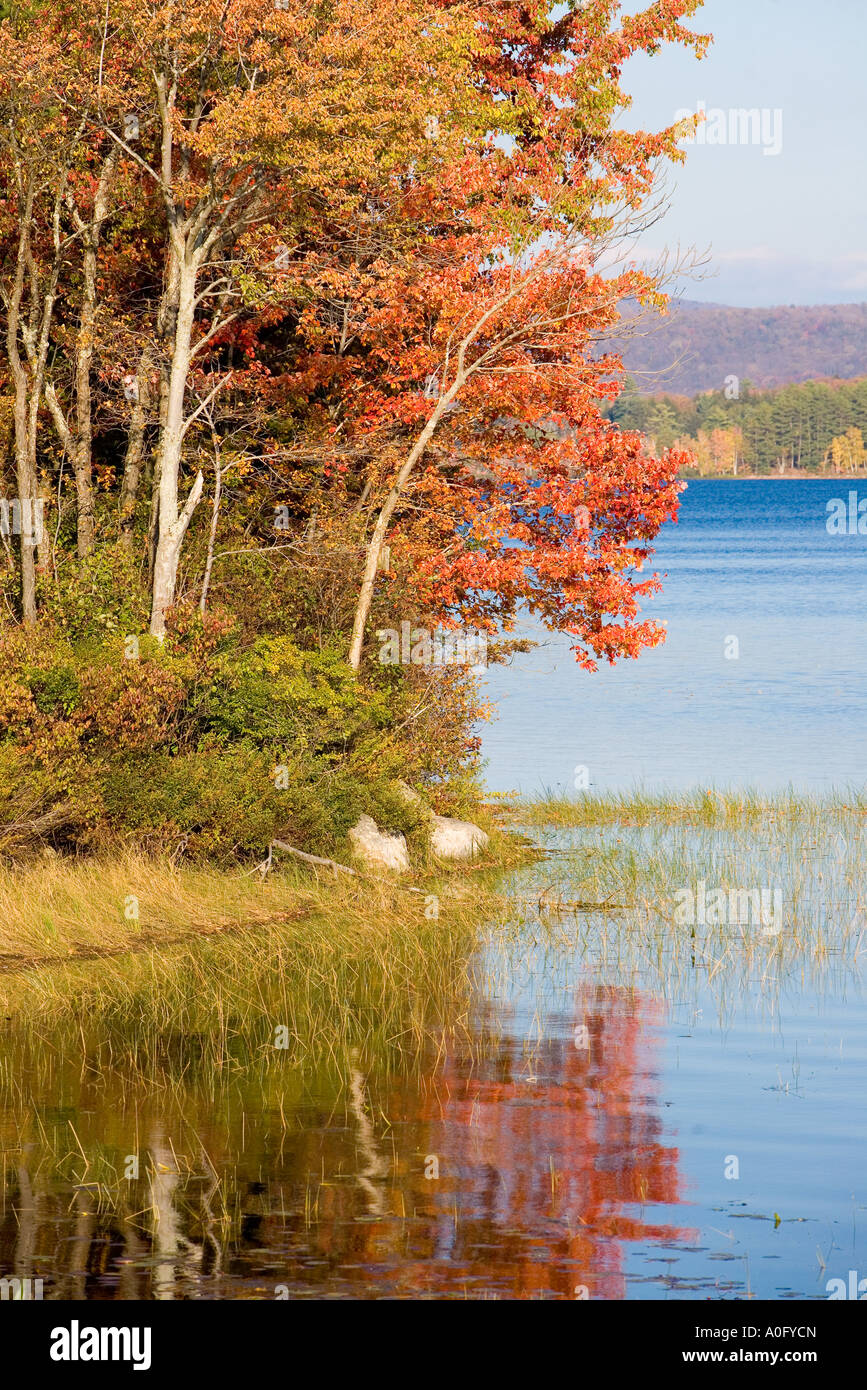 beautiful misty morning in speculator town village on lake pleasant new york Stock Photo Alamy