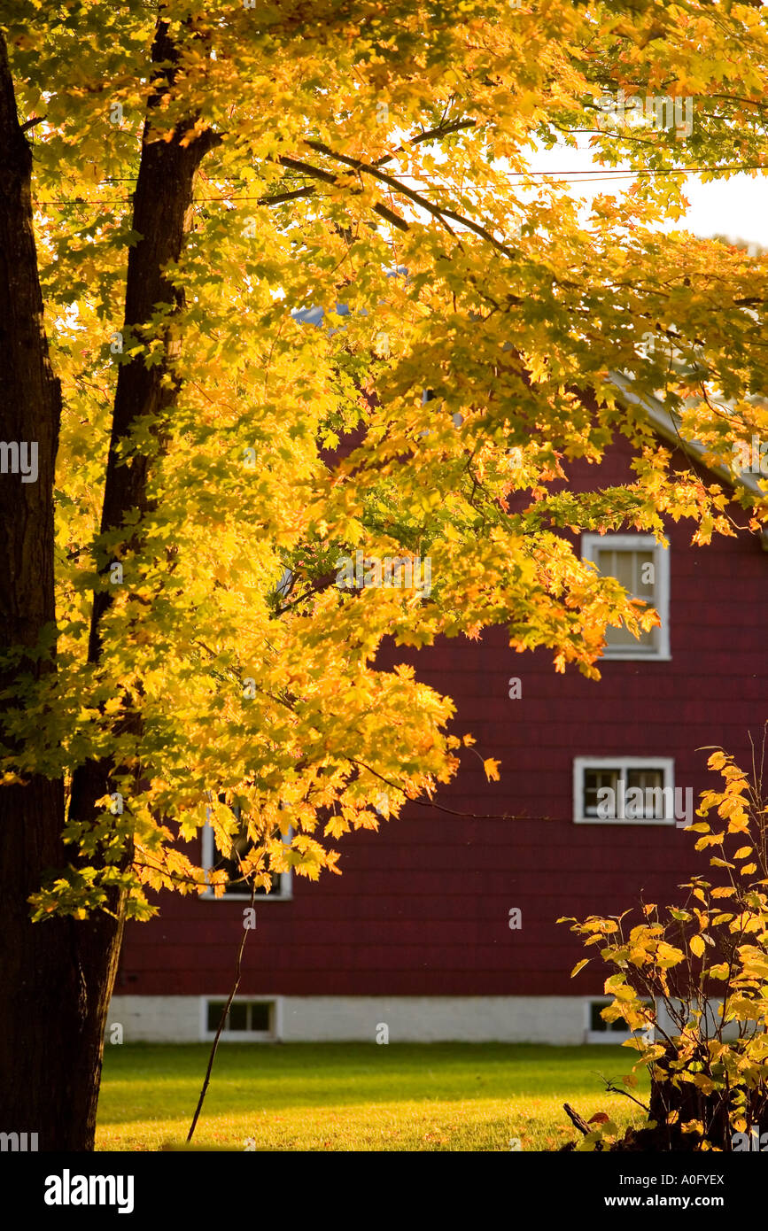 Village of speculator hires stock photography and images Alamy