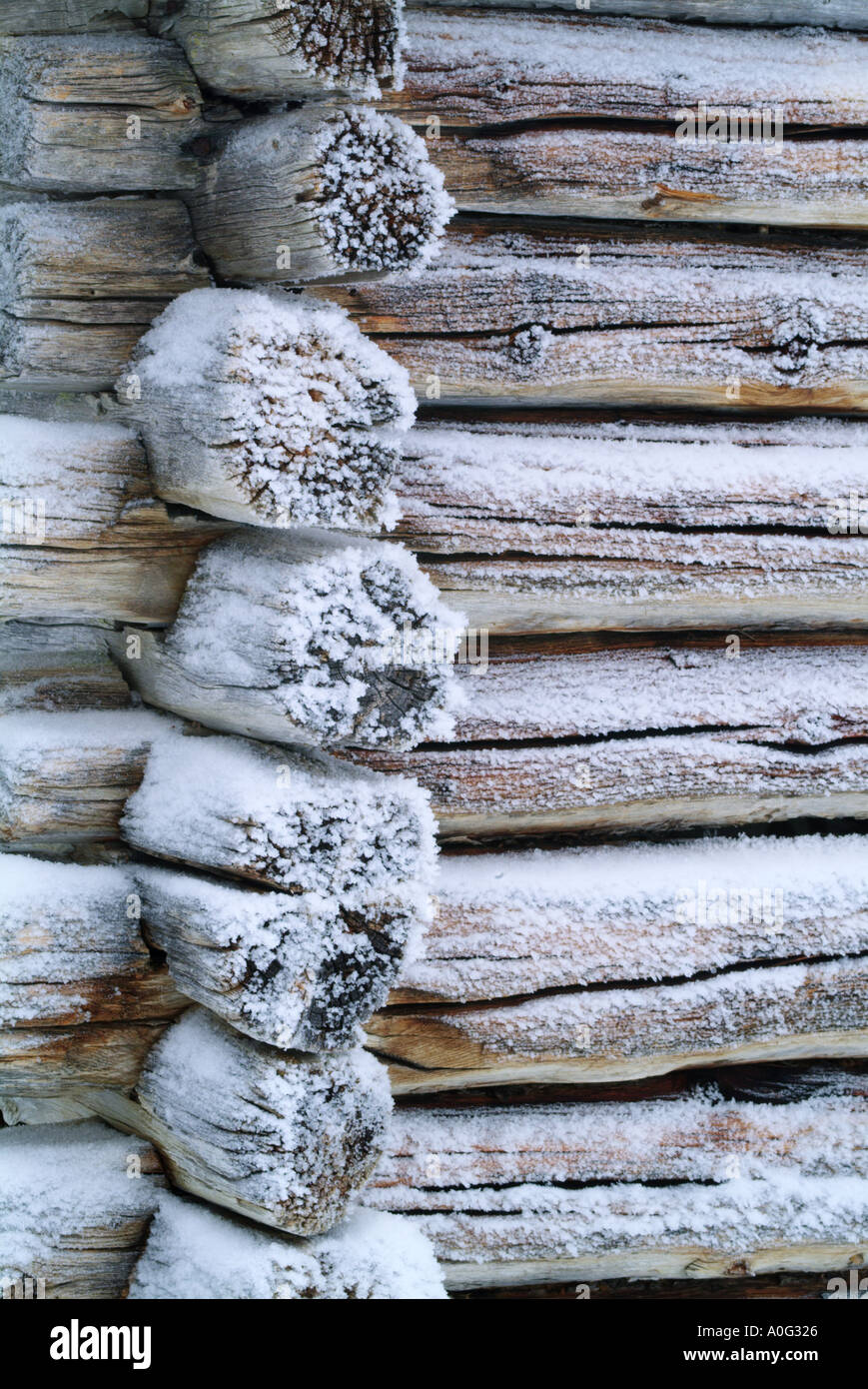 Log Layf Log hi-res stock photography and images - Alamy