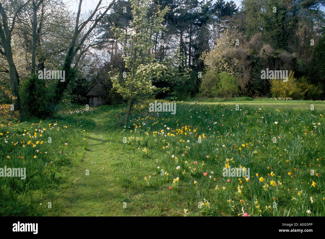 Ashton Wold Cambridgeshire Miriam Rothschild s garden Grass path with