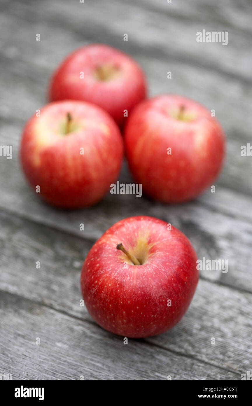 Apple Braeburn Malus domestica Stock Photo Alamy